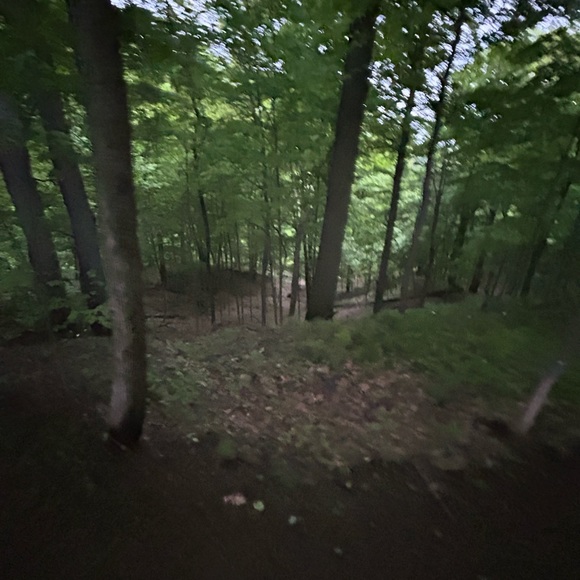 Meet your Posher, Tahlia - Picture 1 of 1